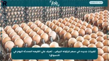 تغيرات جديدة في سعر كرتونة البيض.. تعرف على القيمة المحدثة اليوم في الأسواق!